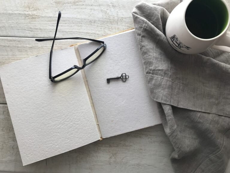 El libro en blanco