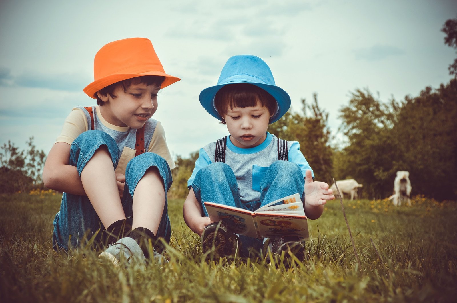 Los niños y el primer eslabón de la lectura por Maria Jose Almudi Antin
